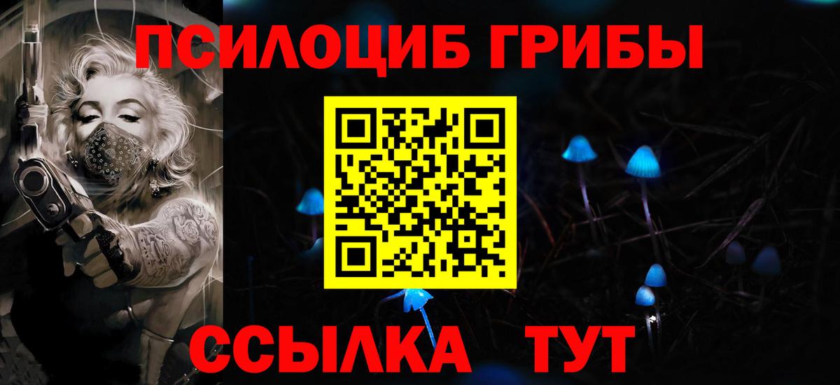 Александров  даркнет сайт  Вход с VPN  Галлюциногенные грибы мухоморы 